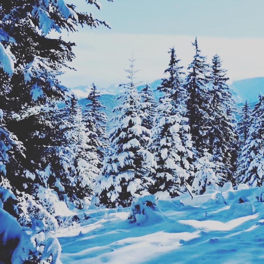 La Kabylie au coeur des 3 Vallées Tarascon-sur-Ariège Esterno foto
